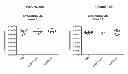 Fig. 31 - Methods of Treating Inflammatory Disorders Using Anti-M-CSF Antibodies