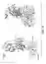 Fig. 22 - Methods and compositions for neural disease immunotherapy