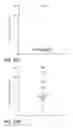 Fig. 31 - Methods and compositions for neural disease immunotherapy