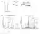 Fig. 13 - Methods for Identifying Janus Kinase (JAK) Modulators for Therapeutics