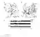 Fig. 19 - Methods for Identifying Janus Kinase (JAK) Modulators for Therapeutics