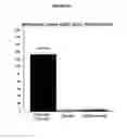 Fig. 13 - SINGLE NUCLEOTIDE POLYMORPHISMS (SNP) AND ASSOCIATION WITH RESISTANCE TO IMMUNE TOLERANCE INDUCTION