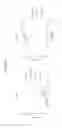 Fig. 11 - Chimeric antigen receptor specific for folate receptor β