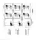 Fig. 18 - Chimeric antigen receptor specific for folate receptor β