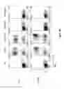 Fig. 23 - Chimeric antigen receptor specific for folate receptor β