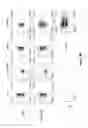 Fig. 25 - Chimeric antigen receptor specific for folate receptor β