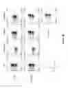 Fig. 26 - Chimeric antigen receptor specific for folate receptor β