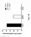 Fig. 32 - Chimeric antigen receptor specific for folate receptor β