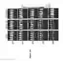 Fig. 42 - Chimeric antigen receptor specific for folate receptor β