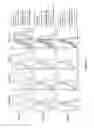 Fig. 47 - Chimeric antigen receptor specific for folate receptor β