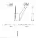 Fig. 53 - Chimeric antigen receptor specific for folate receptor β