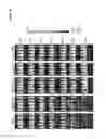 Fig. 63 - Chimeric antigen receptor specific for folate receptor β