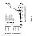 Fig. 65 - Chimeric antigen receptor specific for folate receptor β