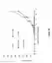 Fig. 66 - Chimeric antigen receptor specific for folate receptor β