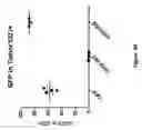 Fig. 76 - Chimeric antigen receptor specific for folate receptor β