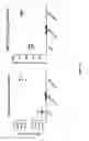 Fig. 78 - Chimeric antigen receptor specific for folate receptor β