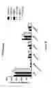 Fig. 85 - Chimeric antigen receptor specific for folate receptor β