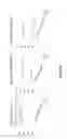 Fig. 98 - Chimeric antigen receptor specific for folate receptor β