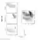 Fig. 99 - Chimeric antigen receptor specific for folate receptor β