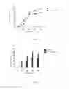 Fig. 03 - CANINE INFLUENZA RECOMBINANT VIRUS, PREPARATION METHOD THEREFOR AND APPLICATION THEREOF
