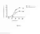 Fig. 04 - CANINE INFLUENZA RECOMBINANT VIRUS, PREPARATION METHOD THEREFOR AND APPLICATION THEREOF