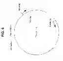Fig. 09 - INFECTIOUS CLONES OF TORQUE TENO VIRUS
