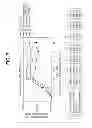 Fig. 10 - INFECTIOUS CLONES OF TORQUE TENO VIRUS