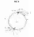 Fig. 11 - INFECTIOUS CLONES OF TORQUE TENO VIRUS