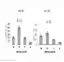 Fig. 22 - Compositions and methods for the treatment or prevention of hepatitis B virus infection