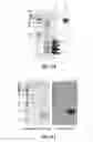 Fig. 09 - Polypeptides having immunoactivating activity and methods of producing the same