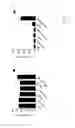 Fig. 10 - Methods for controlling T cell proliferation