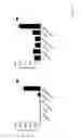 Fig. 12 - Methods for controlling T cell proliferation