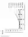 Fig. 16 - Nucleic acid construct comprising nucleic acid derived from genome of hepatitis C virus of genotype 3a
