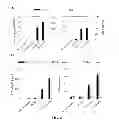 Fig. 07 - Modified gram-negative bacteria for use as vaccines