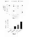 Fig. 08 - Modified gram-negative bacteria for use as vaccines