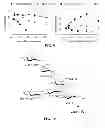 Fig. 09 - Modified gram-negative bacteria for use as vaccines