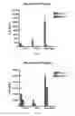 Fig. 07 - Double-Stranded RNA For Immunostimulation