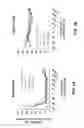 Fig. 02 - Pharmaceutical formulation for reducing frequency of urination and method of use thereof