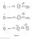 Fig. 08 - Nanoparticle formulations of active ingredients