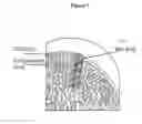 Fig. 02 - Solid forms for tissue repair