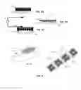 Fig. 06 - Implantable devices for delivery of bioactive agents
