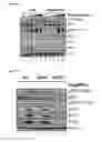 Fig. 06 - 5'-TRIPHOSPHATE OLIGORIBONUCLEOTIDES