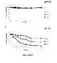 Fig. 07 - NANOPARTICLE-BASED DELIVERY SYSTEM WITH OXIDIZED PHOSPHOLIPIDS AS TARGETING LIGANDS FOR THE PREVENTION, DIAGNOSIS AND TREATMENT OF ATHEROSCLEROSIS