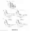 Fig. 09 - Multifunctional micellar nanoparticle-based drug and targeting agent system