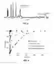 Fig. 05 - Injectable sustained release composition and method of using the same for treating inflammation in joints and pain associated therewith