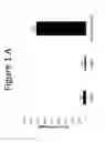 Fig. 02 - Composition comprising bioactive amino acids and/or peptides and marine oil in a stable oil-in-water emulsion, and the use of said composition as a functional or therapeutic composition