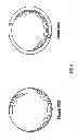 Fig. 06 - Biodegradeable putty compositions and implant devices, methods, and kits relating to the same