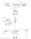 Fig. 04 - Method of killing a bacteria with a plant-based biocidal solution
