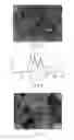 Fig. 04 - HIGHLY CRYSTALLIZED PARTICLES AND PRODUCTION METHOD THEREOF
