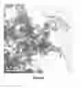 Fig. 02 - Method of Forming a Gel Having Improved Thermal Stability